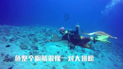 流放者柯南